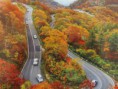 /album/nikko/p9220840-jpg/