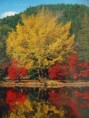 /album/nikko/p9220846-jpg/